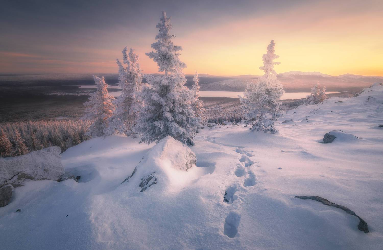 , Силантьев Даниил