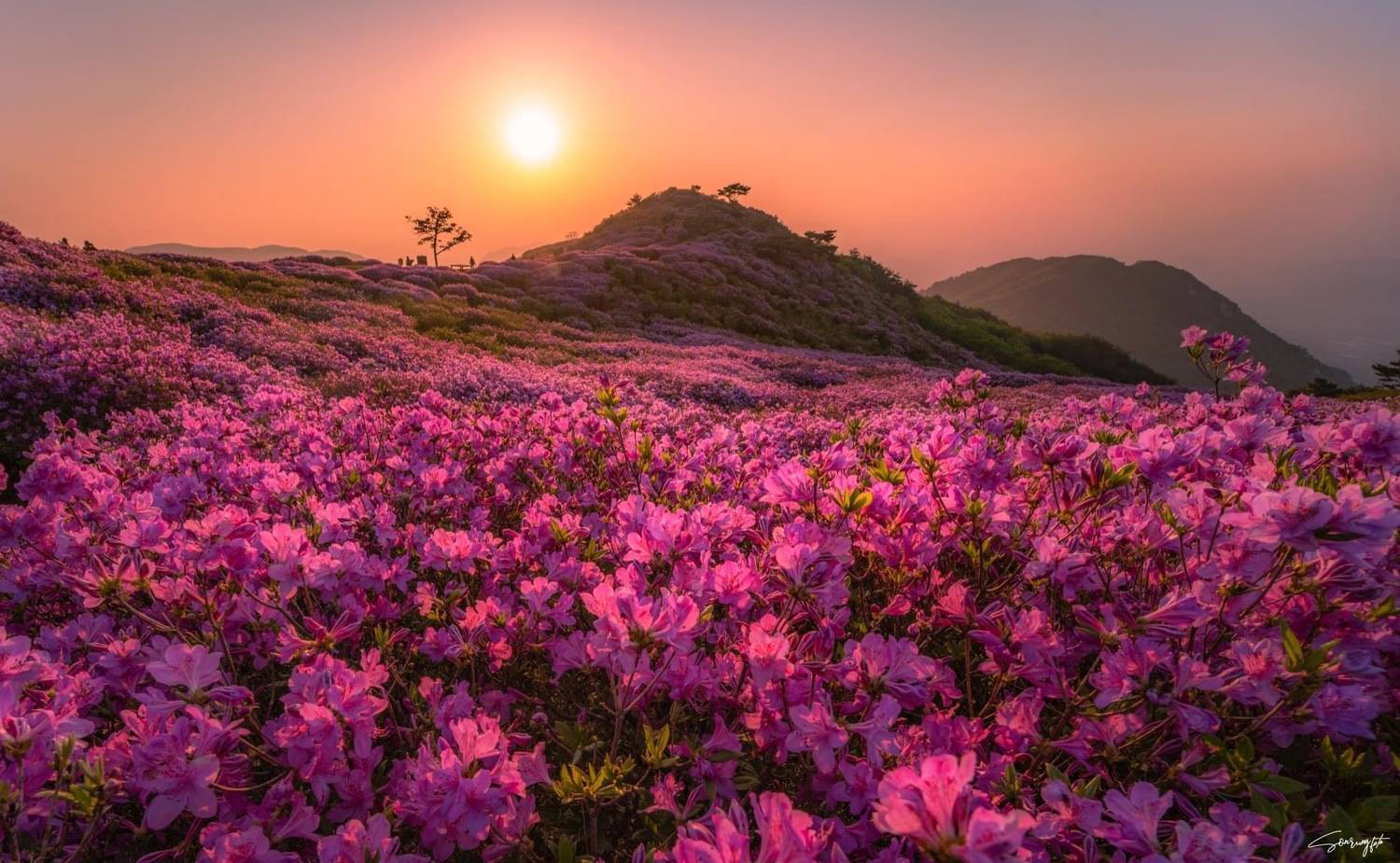 , T&ocirc;i L&agrave; N&uacute;i