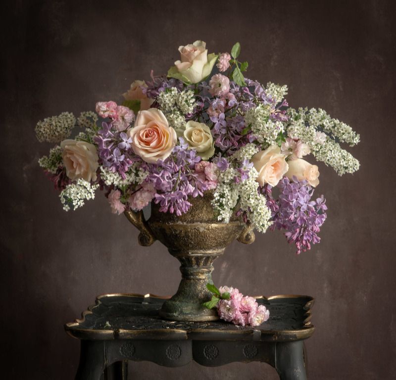 Весна24 фото превью