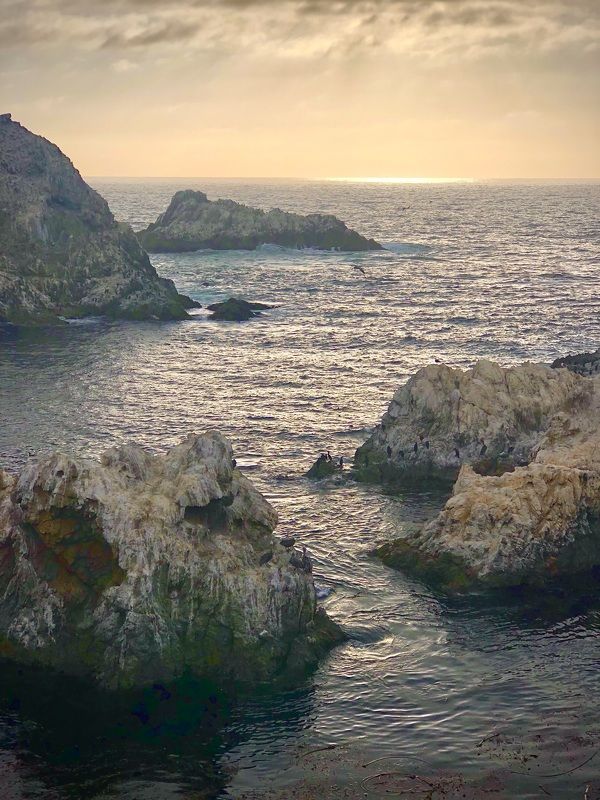 Point Lobos State Natural Reserve фото превью