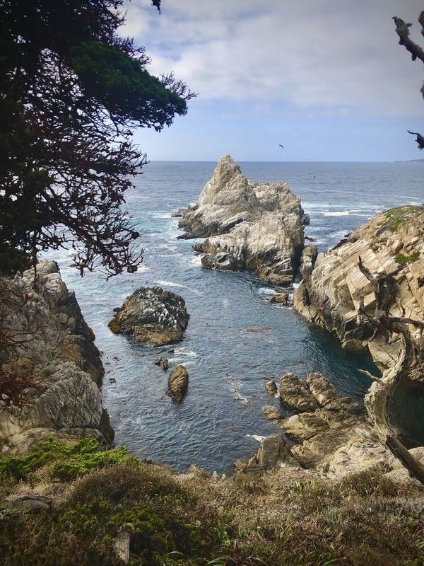 Point Lobos State Natural Reserve фото превью