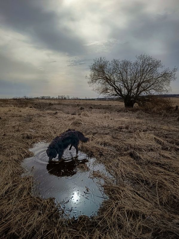 фото превью