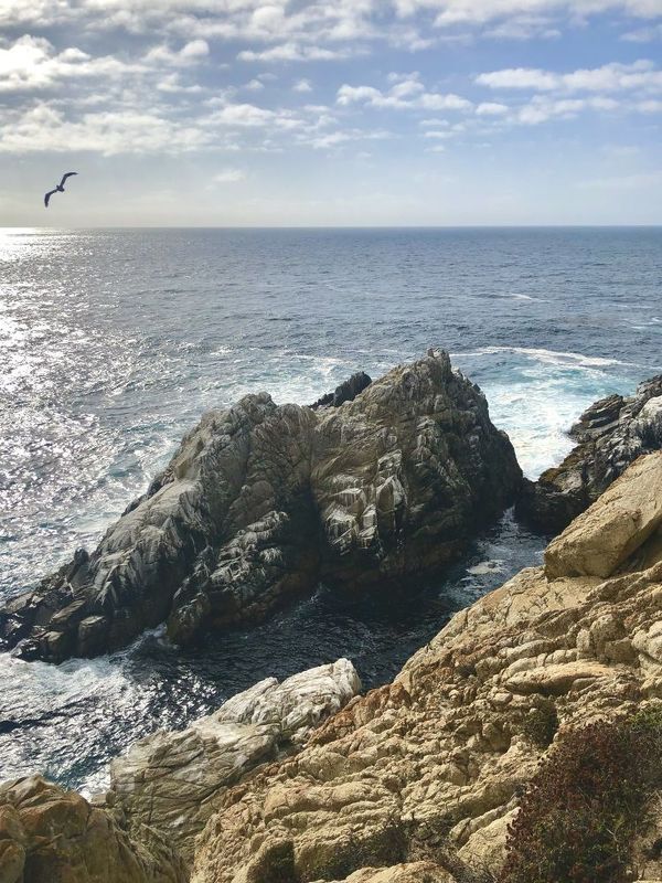 Point Lobos State Natural Reserve фото превью