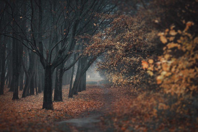 Осеннее настроение фото превью