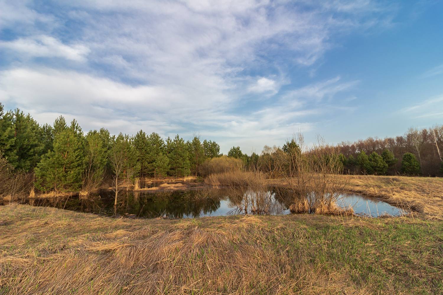 весна, лес, озеро, Востриков Руслан