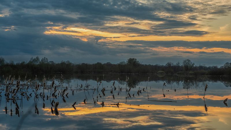 весна, апрель, разлив, десна, трубчевск «Апрельский вечер» фото превью