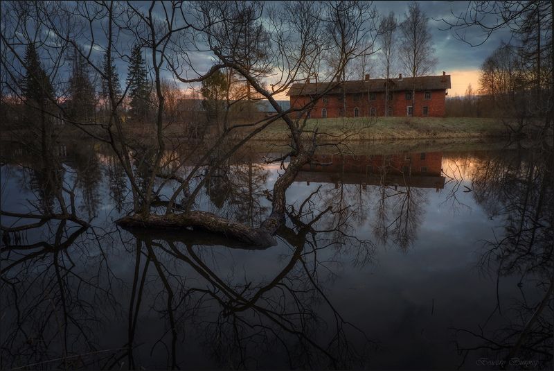В Приютино. фото превью