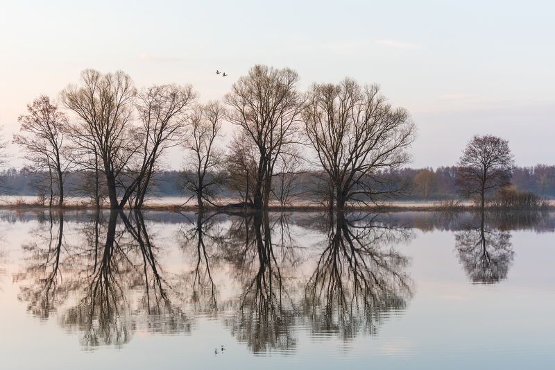 Летят утки... фото превью