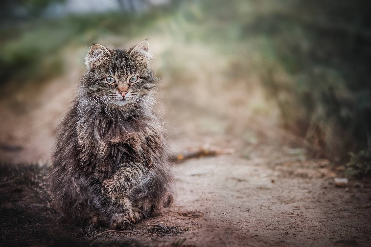 , Наталия Матвеева