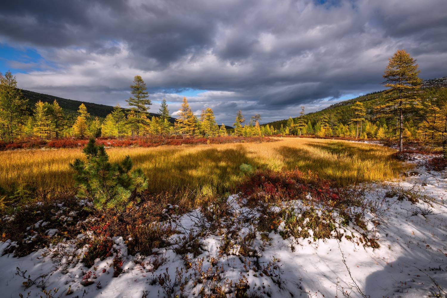 , Максим Евдокимов