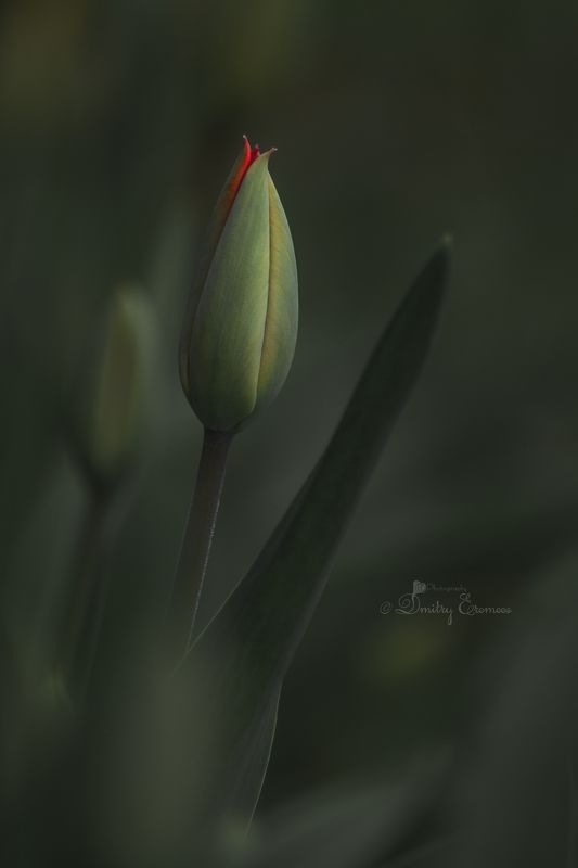 Уже скоро... фото превью