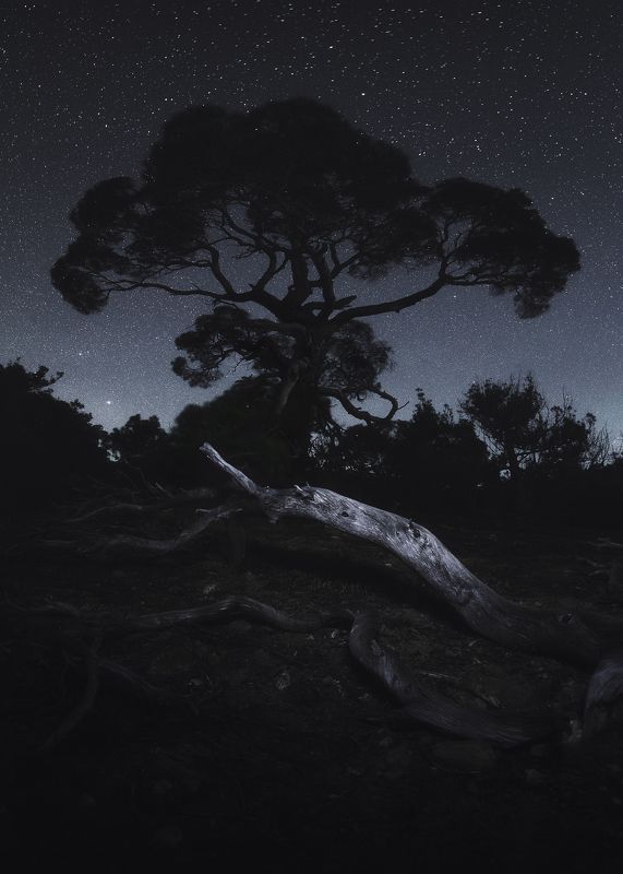 Под россыпью звёзд фото превью