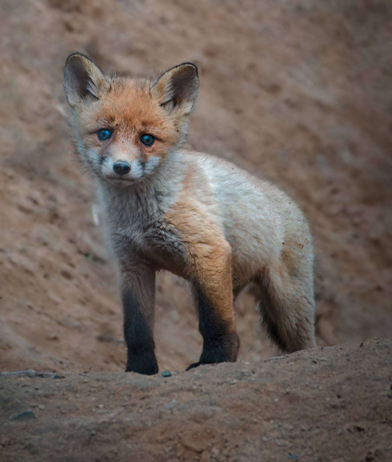 , Фото Александр