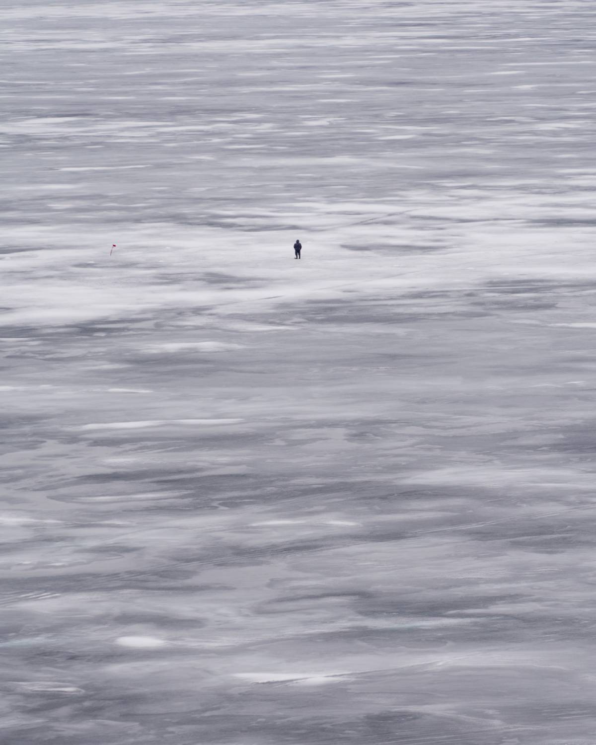 , Алексей Проняхин