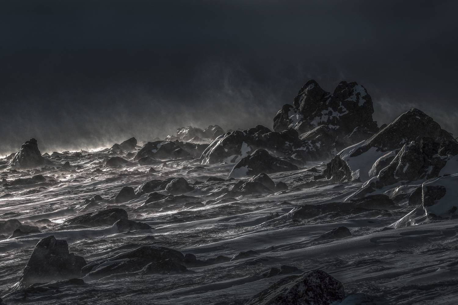 , Татьяна Борисова