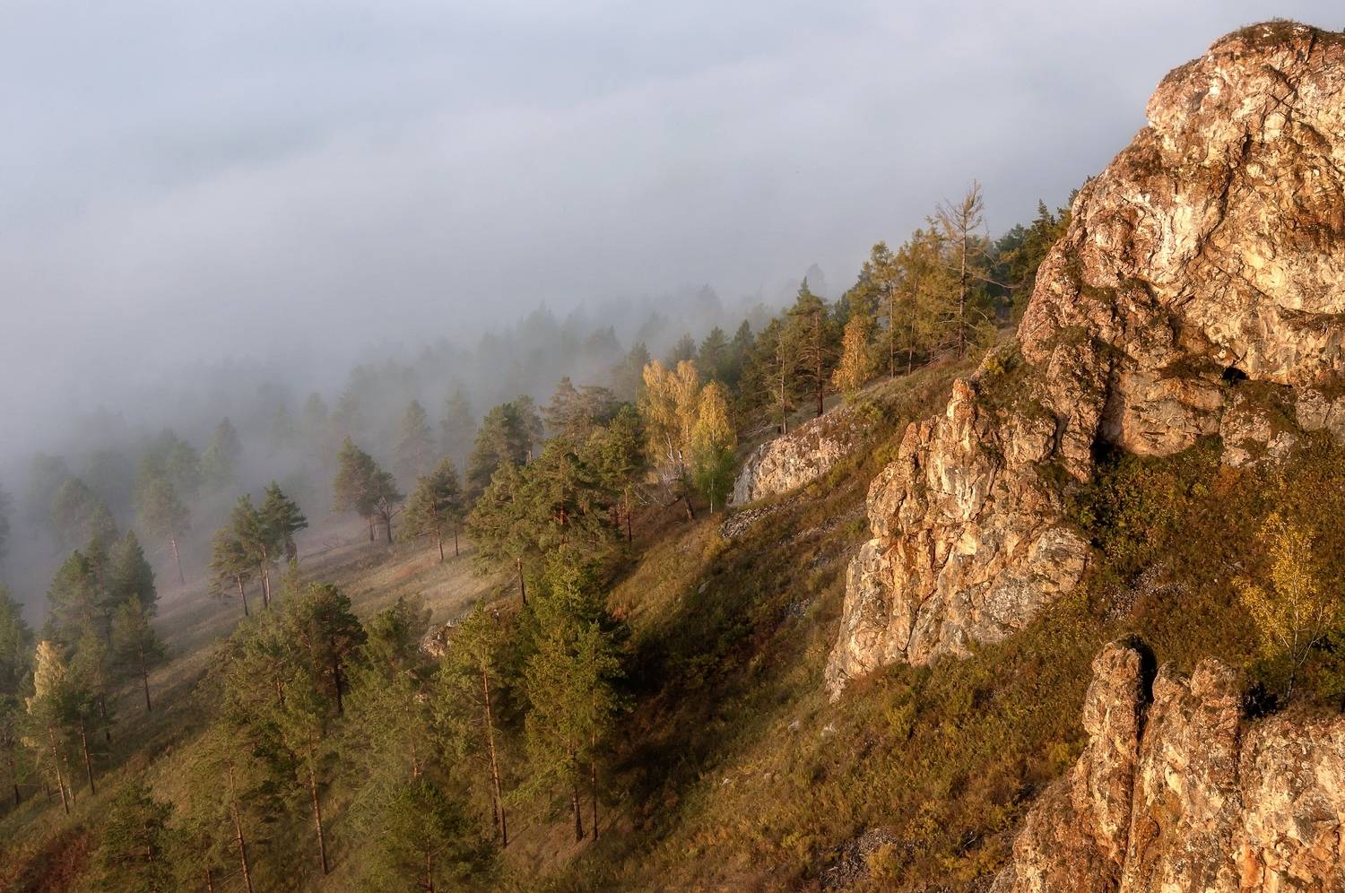 туман, утро, торгашинский хребет, осень, склон, сибирь, природа сибири, Фомина Марина
