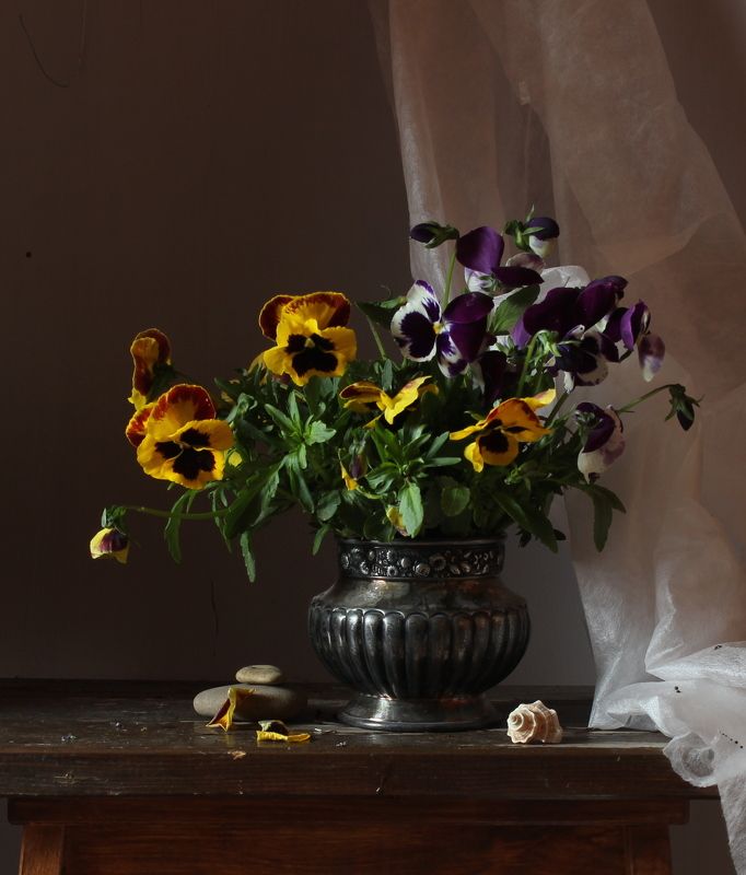 *** фото превью