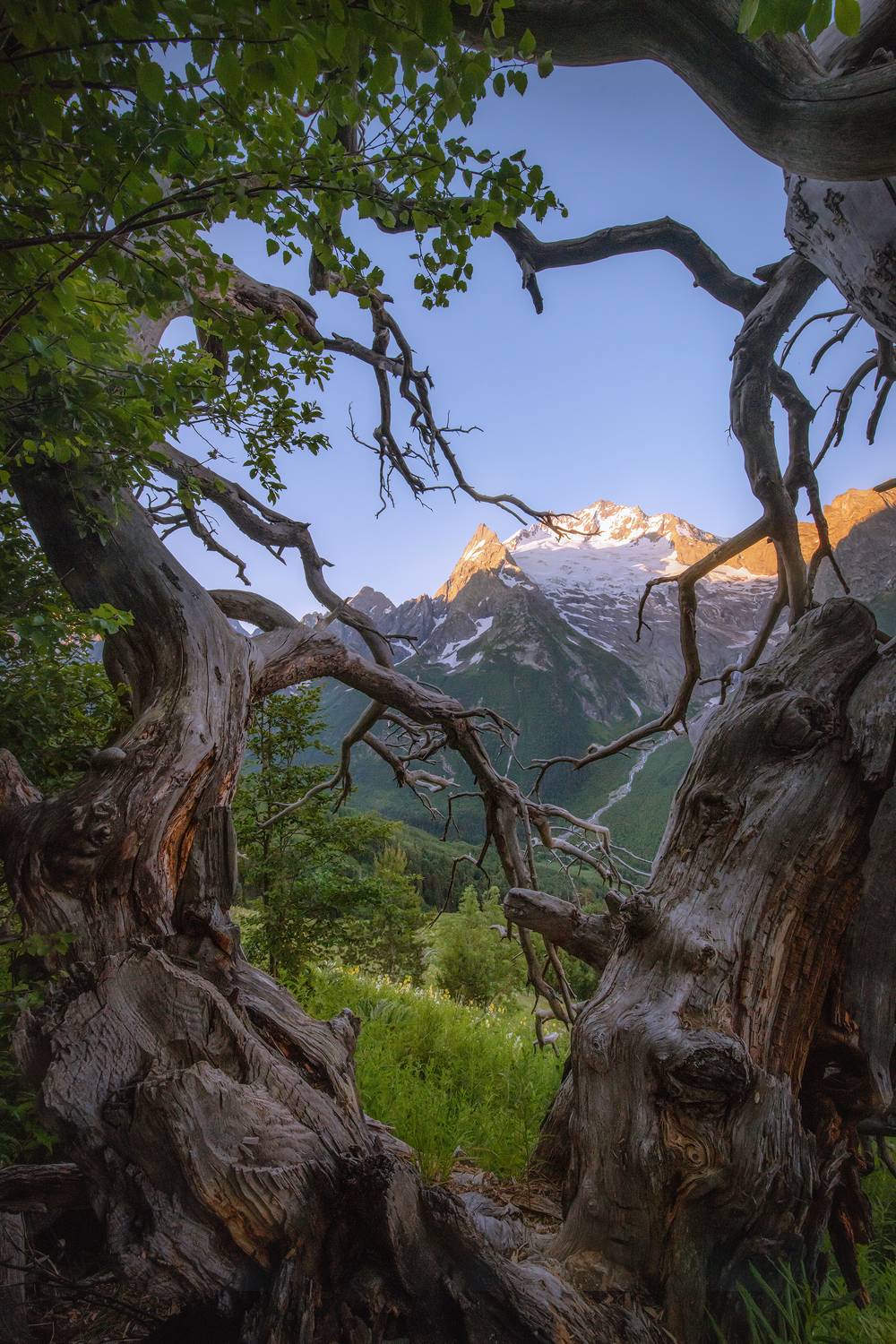 , Елена Ермолина