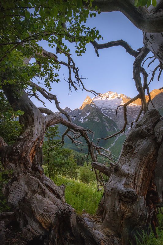 Уютные и солнечные уголки горного Кавказа. фото превью
