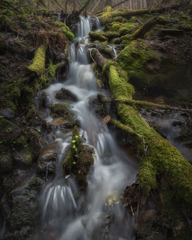 Весенние ручьи фото превью