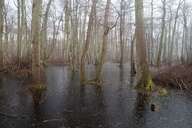 балтийск, балтийское море, калининградская область Переменчивая и ранняя фото превью