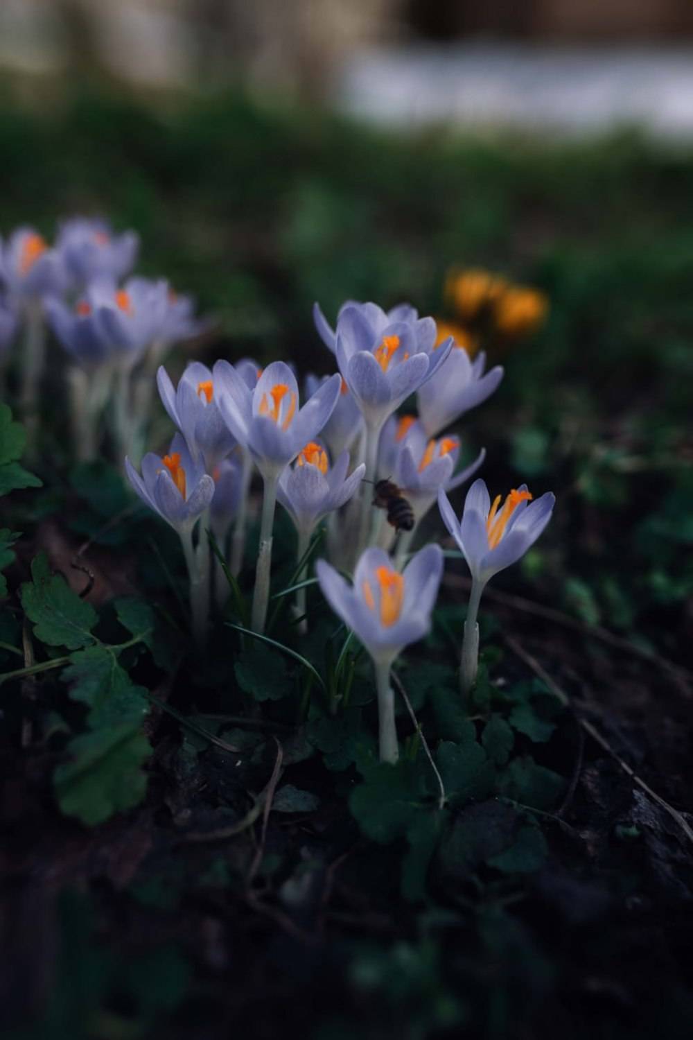 , Рыбаков Илья