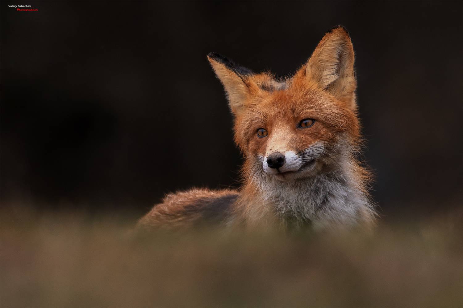 , Валерий Субачев