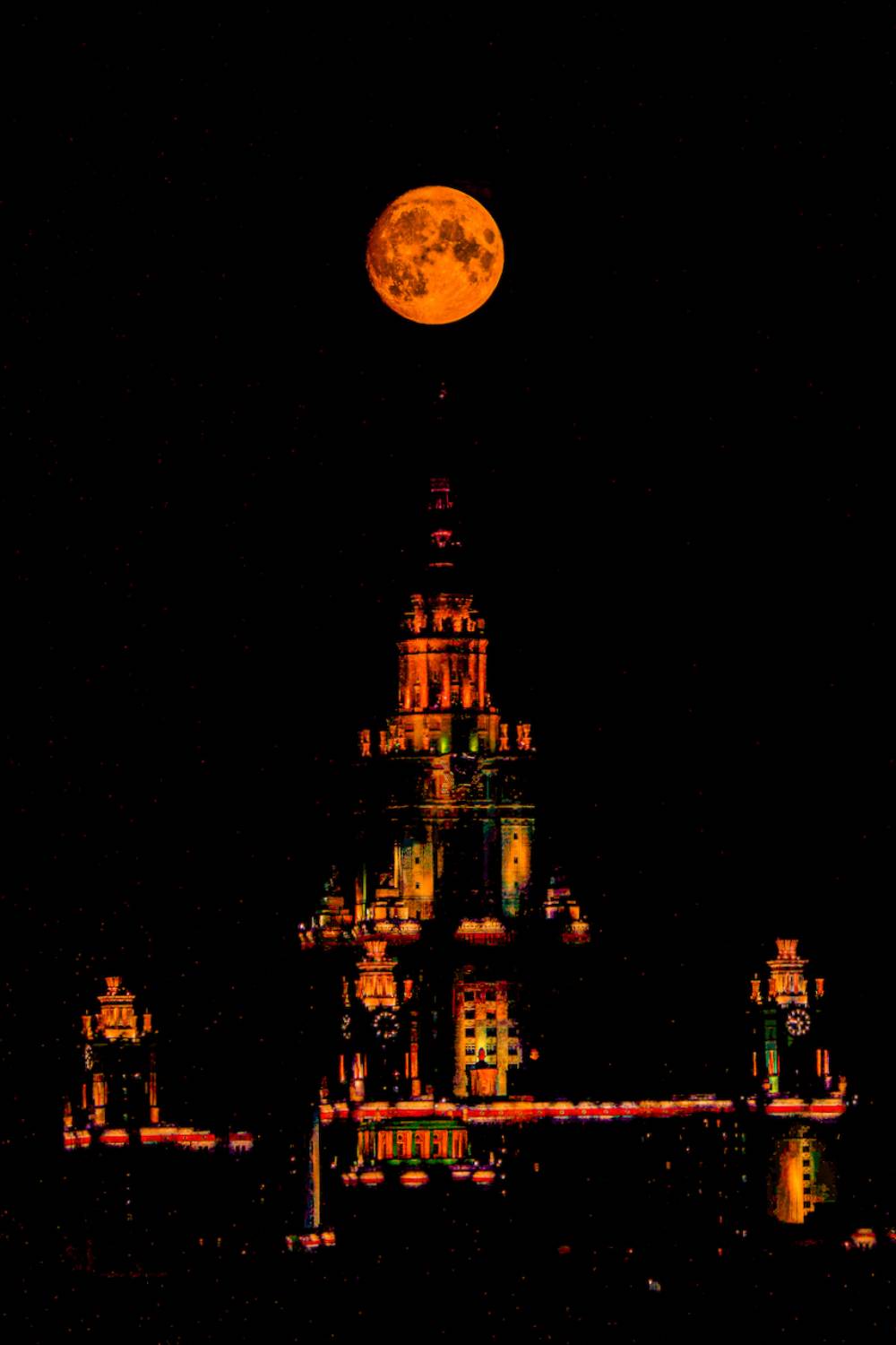 , Алексей Шевченко