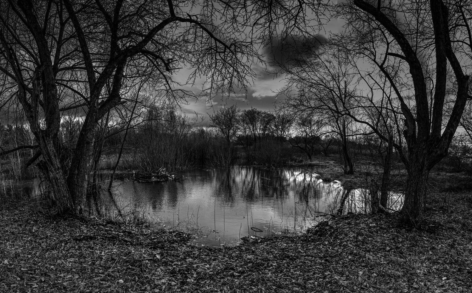 , Журавлёв Александр