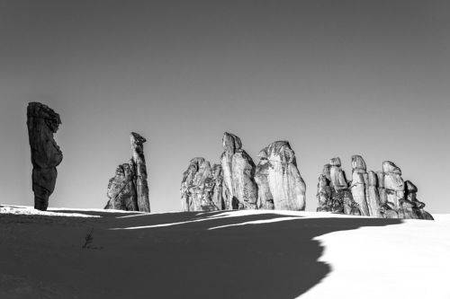 Всем выйти из сумрака