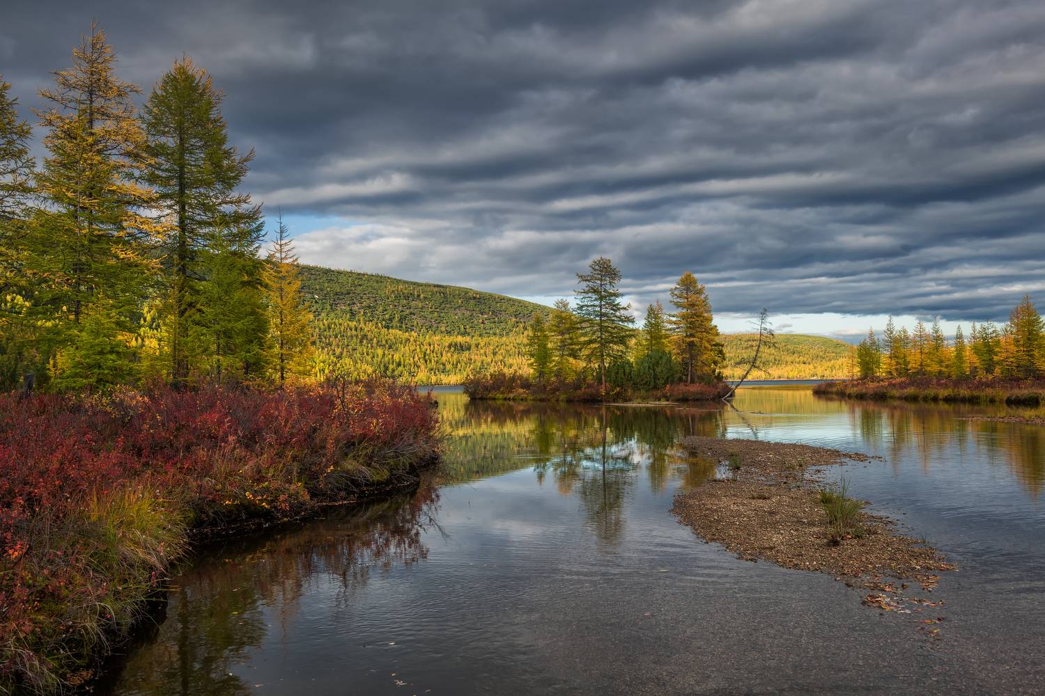 , Максим Евдокимов
