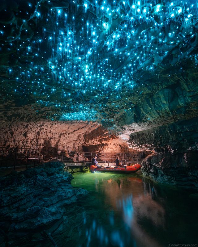 New Zealand Glow worm caves