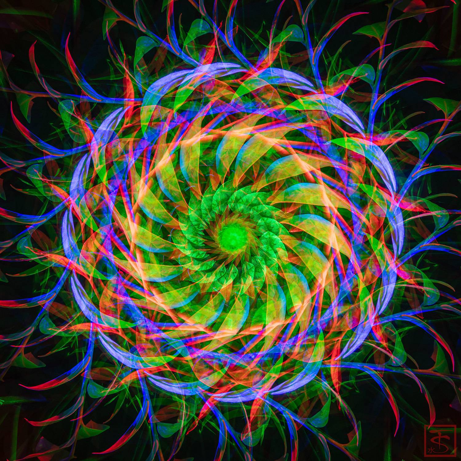 #сергейтолмачев #уменянакухне #фотограф #фризлайт #рисованиесветом #световаякисть #lightpainting, Сергей Толмачев