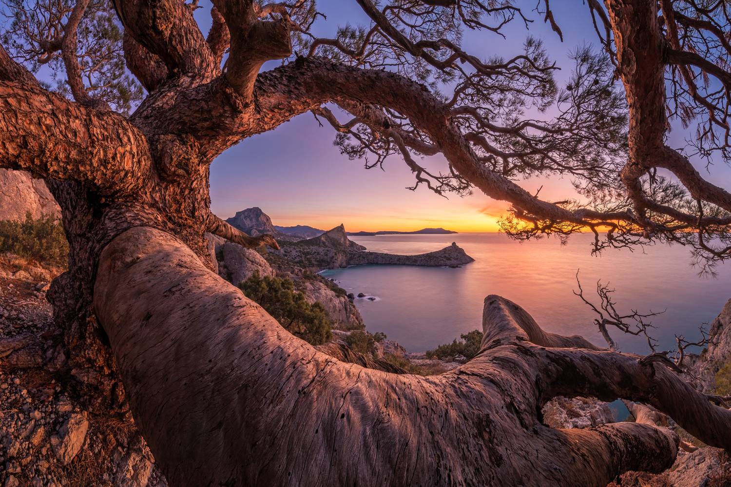 крым, новый свет, судак, черное море, пейзаж, природа, море, россия, сумерки, горы, crimea, novyi svet, sudak, black sea, landscape, nature, sea, russia, twilight, mountains, Алексей Королёв