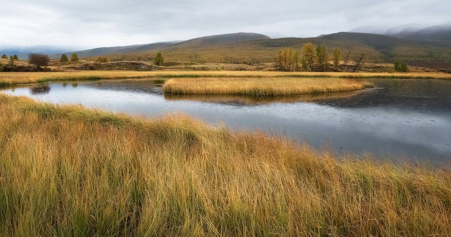 алтай, непогода, дождь, джангысколь, трава, Фомина Марина