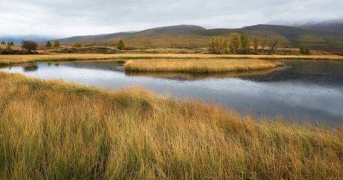 Дождливый Джангысколь