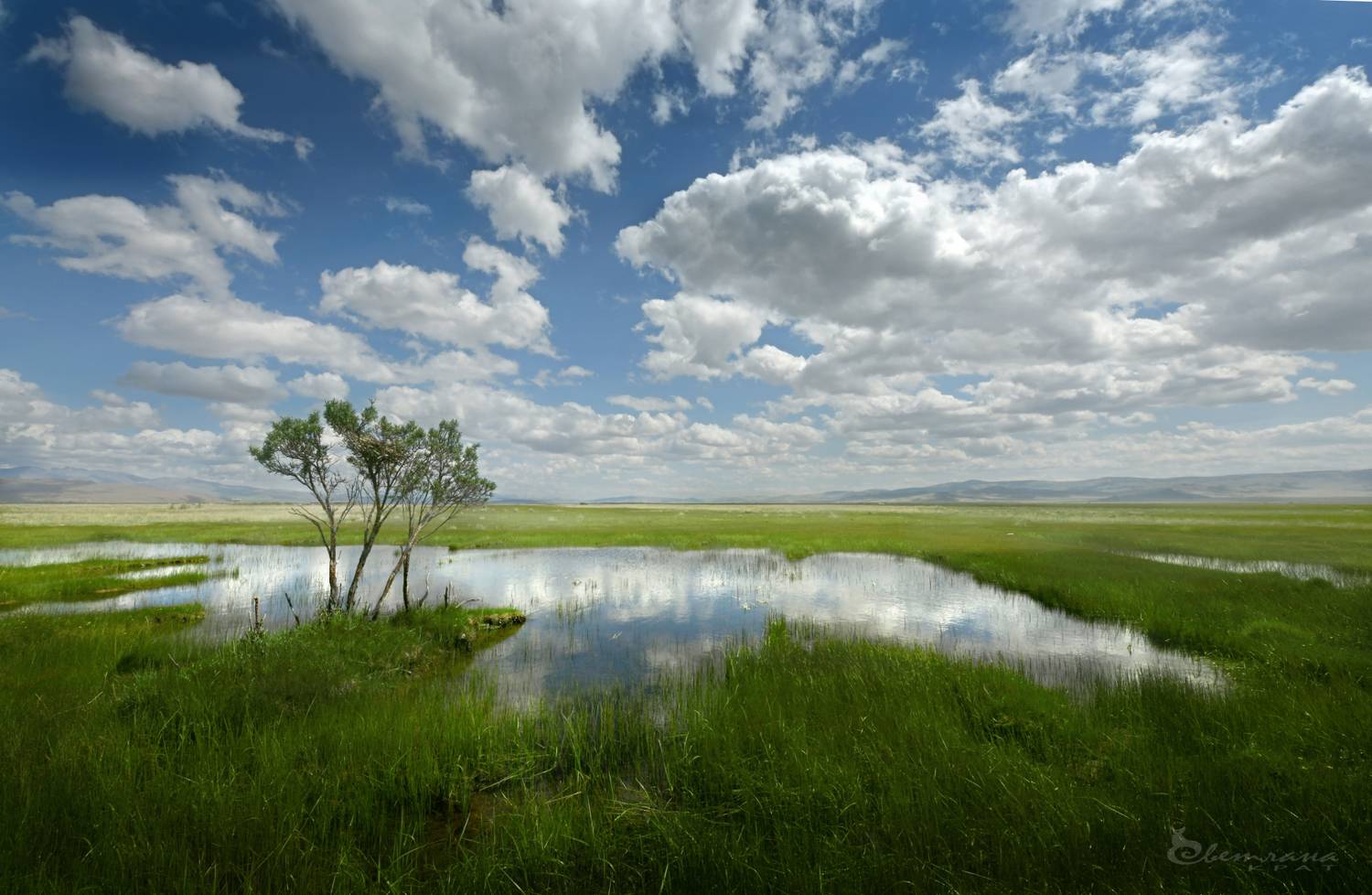 , Светлана Крат