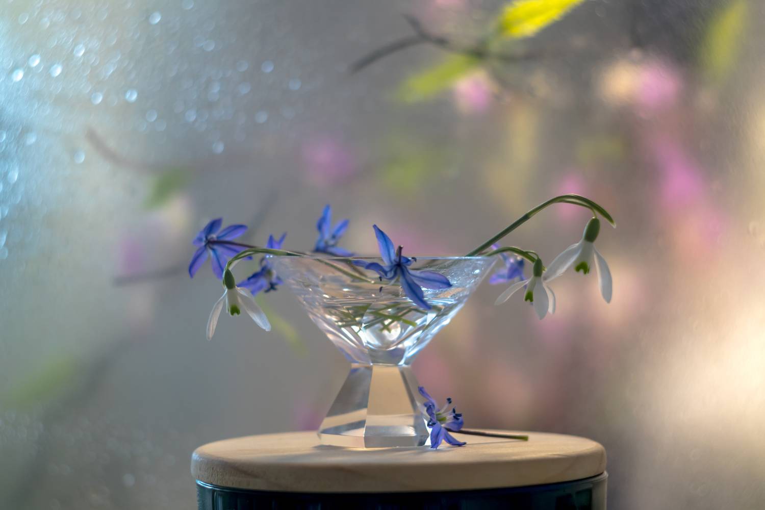 натюрморт,декор,ваза,весна,макро,цветы,флора,лепестки,подснежники,перелески,антонина яновска,сanon eos m50,, Антонина Яновска