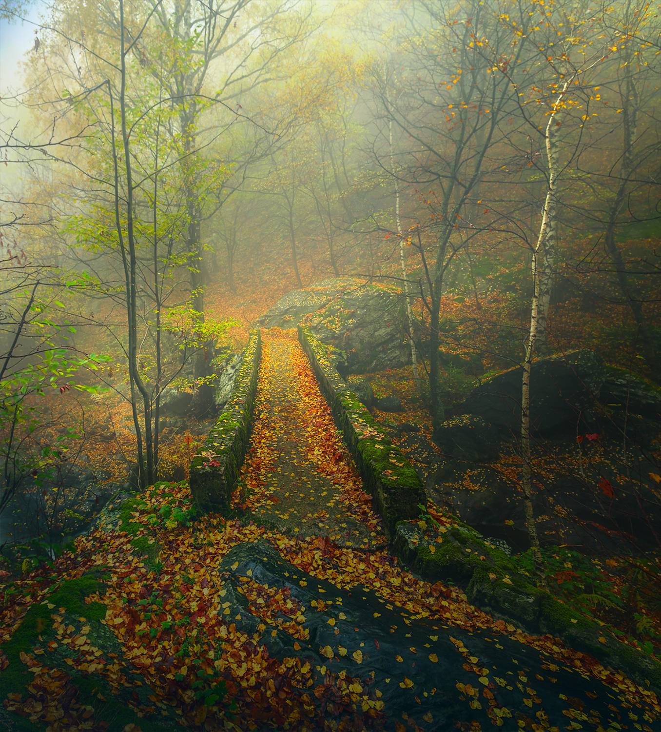 landscape nature scenery forest wood autumn mist misty fog foggy river mountain staraplanina bulgaria туман лес, Александър Александров