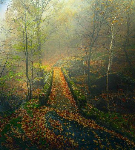 Whiff from the past / Дыхание прошлого