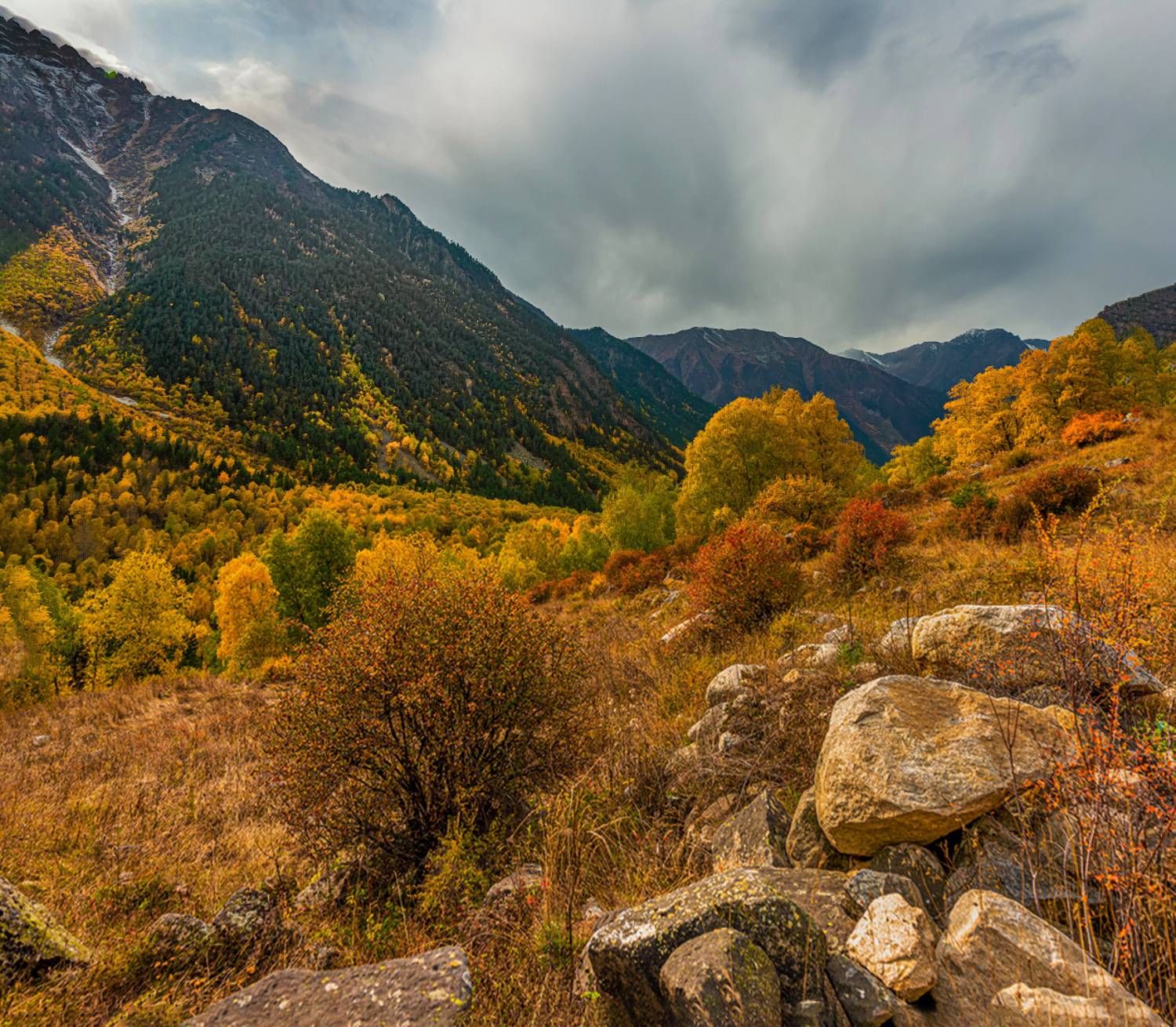 горы осень лес, Anatoly