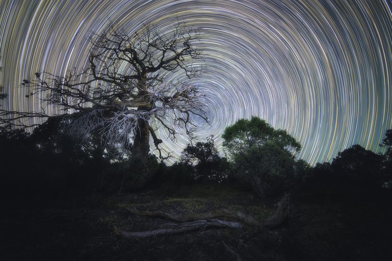 Сказки на ночь фото превью