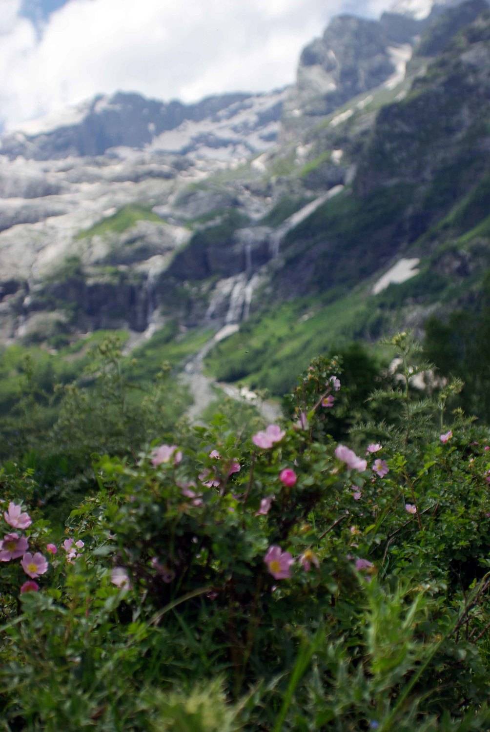 архыз, Андрей Любимов