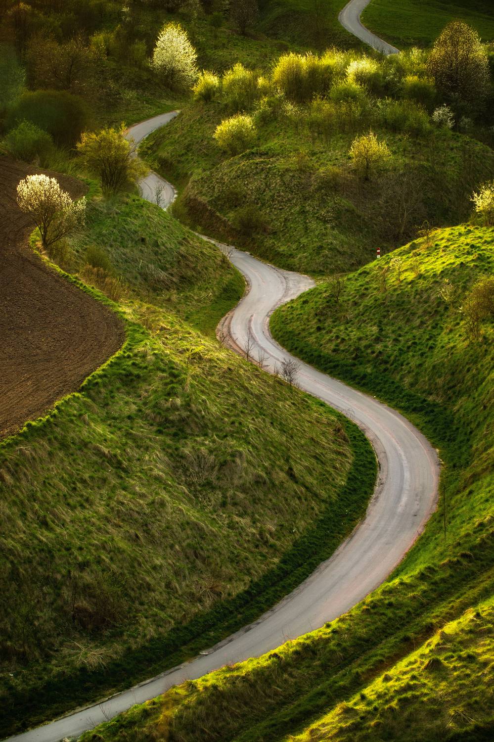 Vertical, Photography, Day, Nature, Agricultural, Green, Grass, Road, Landscape, Rural, Field, Ponidzie, Strad&oacute;w, Damian Cyfka