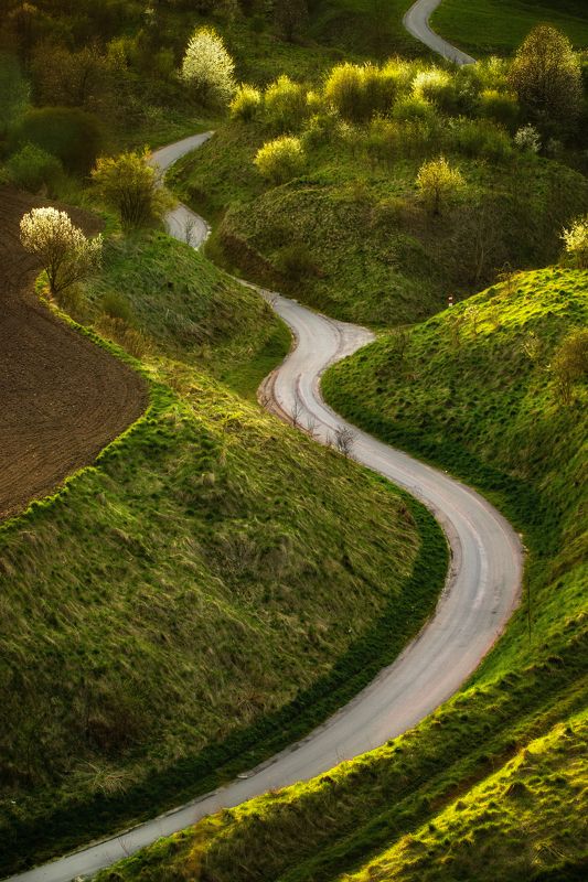 Vertical, Photography, Day, Nature, Agricultural, Green, Grass, Road, Landscape, Rural, Field, Ponidzie, Stradów Grodzisko Stradów фото превью
