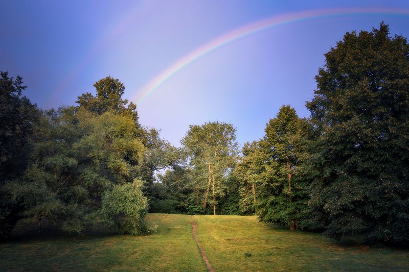 деревья, радуга Летняя радуга фото превью