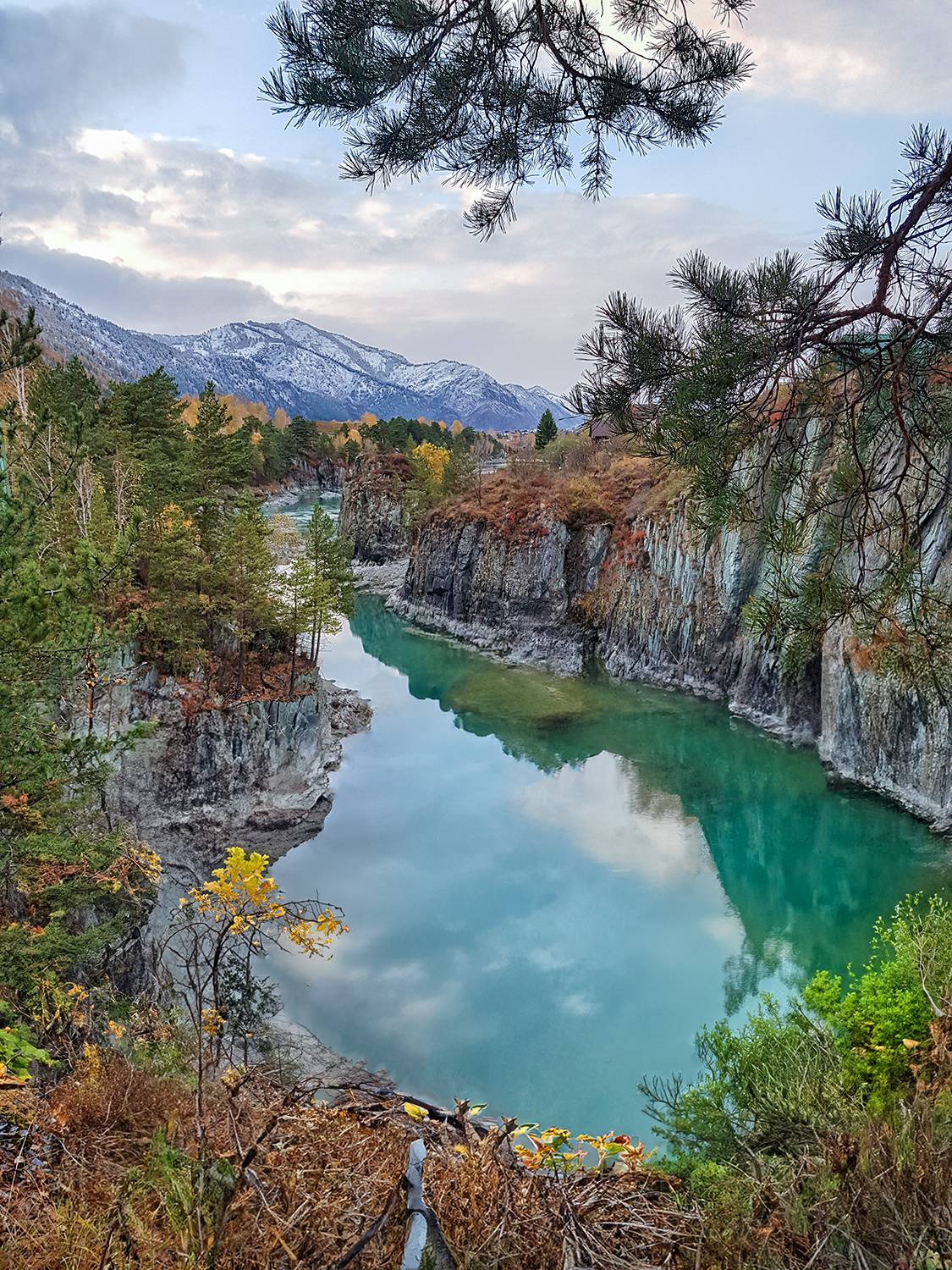 Россия, Алтай,, Лариса Дука