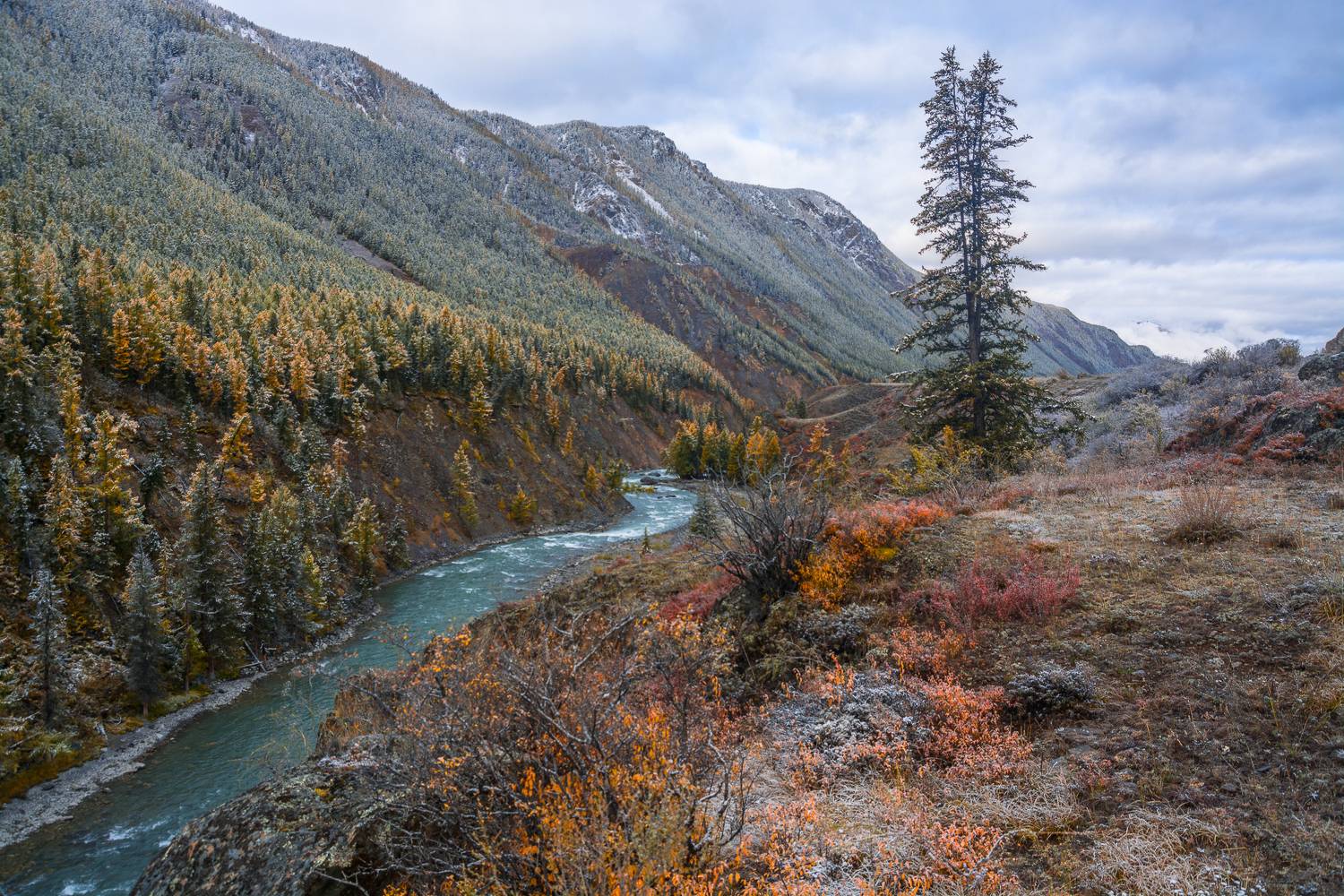 россия, горный алтай, река чуя, осень,утро, Андрей Поляков