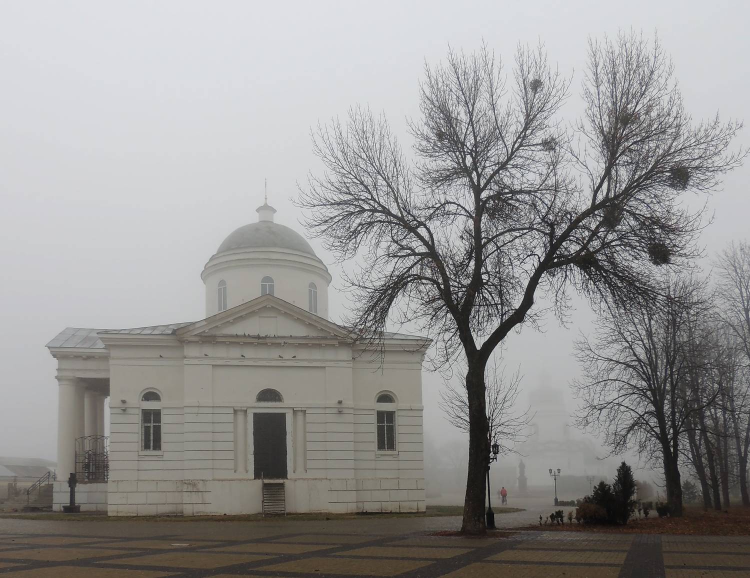 , Савоцкий Роман