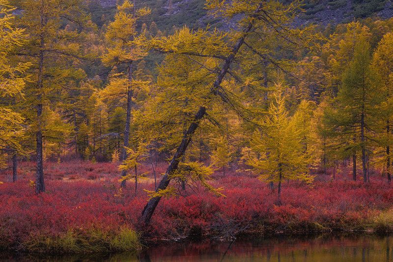 Краски Колымы фото превью